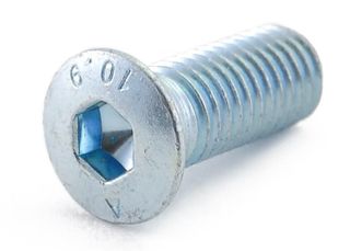 STRIKER PLATE BOLT