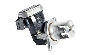 EGR VALVE OM642 W211 W164 WAHLER