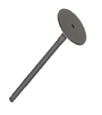 EXHAUST VALVE