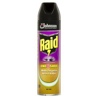 Raid Multi Purpose Fly/Insect Spray 375gm