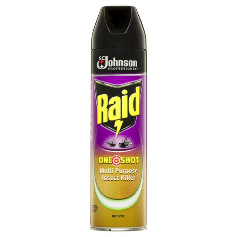 Raid Multi Purpose Fly/Insect Spray 375gm