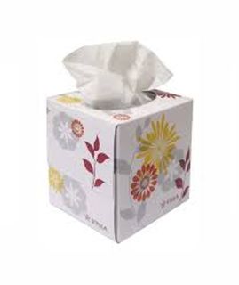 1290 - Luxury Cube Facial Tissue 90 Sheets - 16/ctn