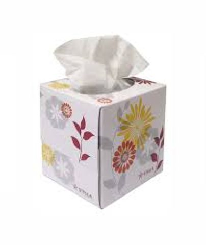 1290 - Luxury Cube Facial Tissue 90 Sheets - 16/ctn