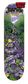 GONZALEZ WARRIORS VX DECK 8.375INx32IN