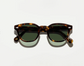 LEMTOSH CLASSIC HAVANA/G15