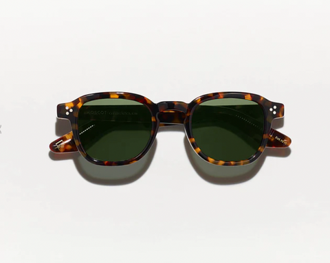 MOMZA-TORTOISE/G15-49