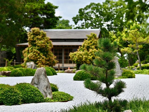 Zen Gardens: Creating Serenity in Small Spaces