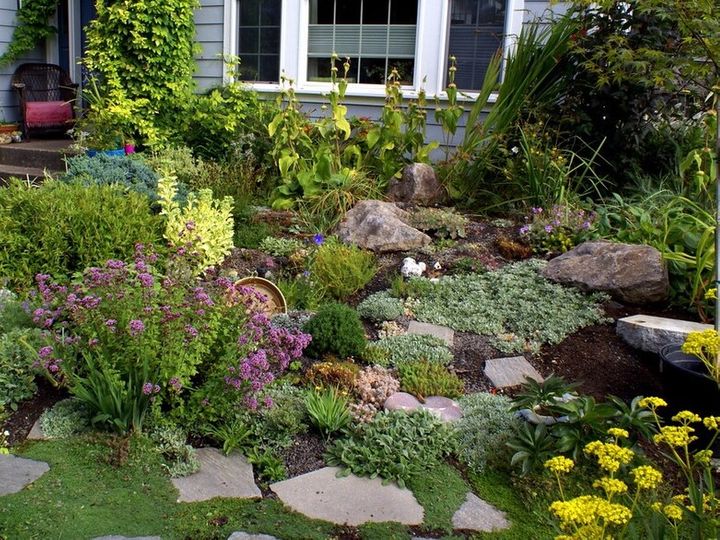 rock garden with wildflowers