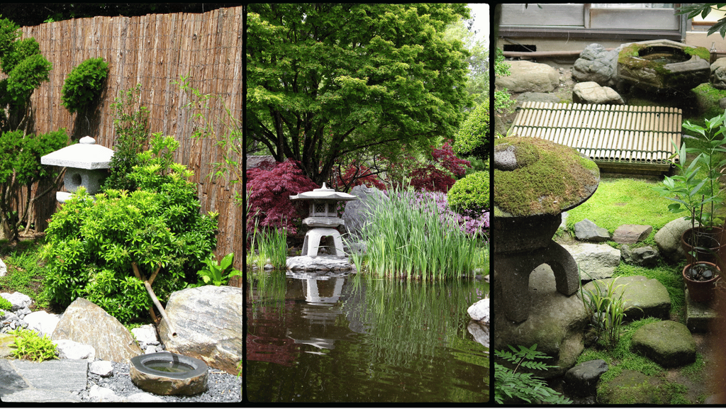 Zen Garden Ideas: Transforming Your Backyard for Inner Peace