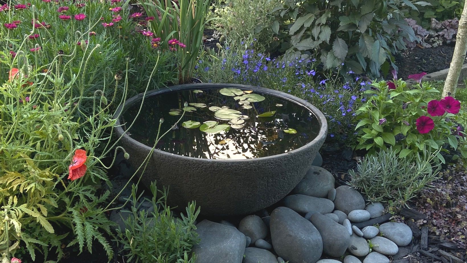 Outdoor water bowls best sale