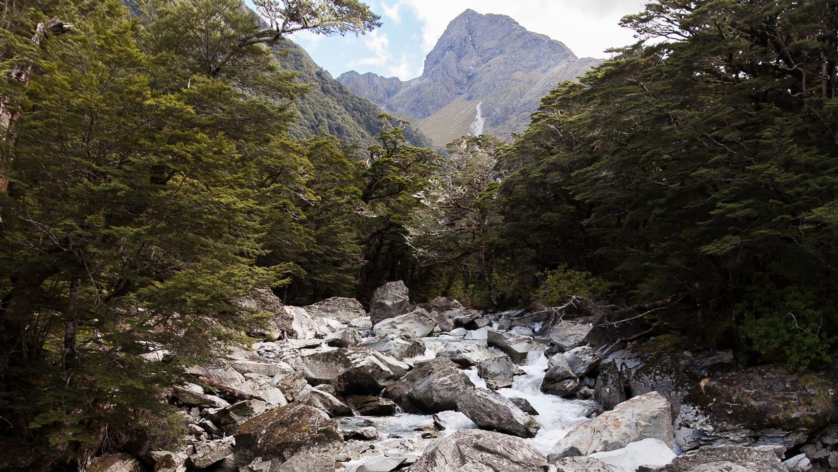 New Zealand schist in riverbed