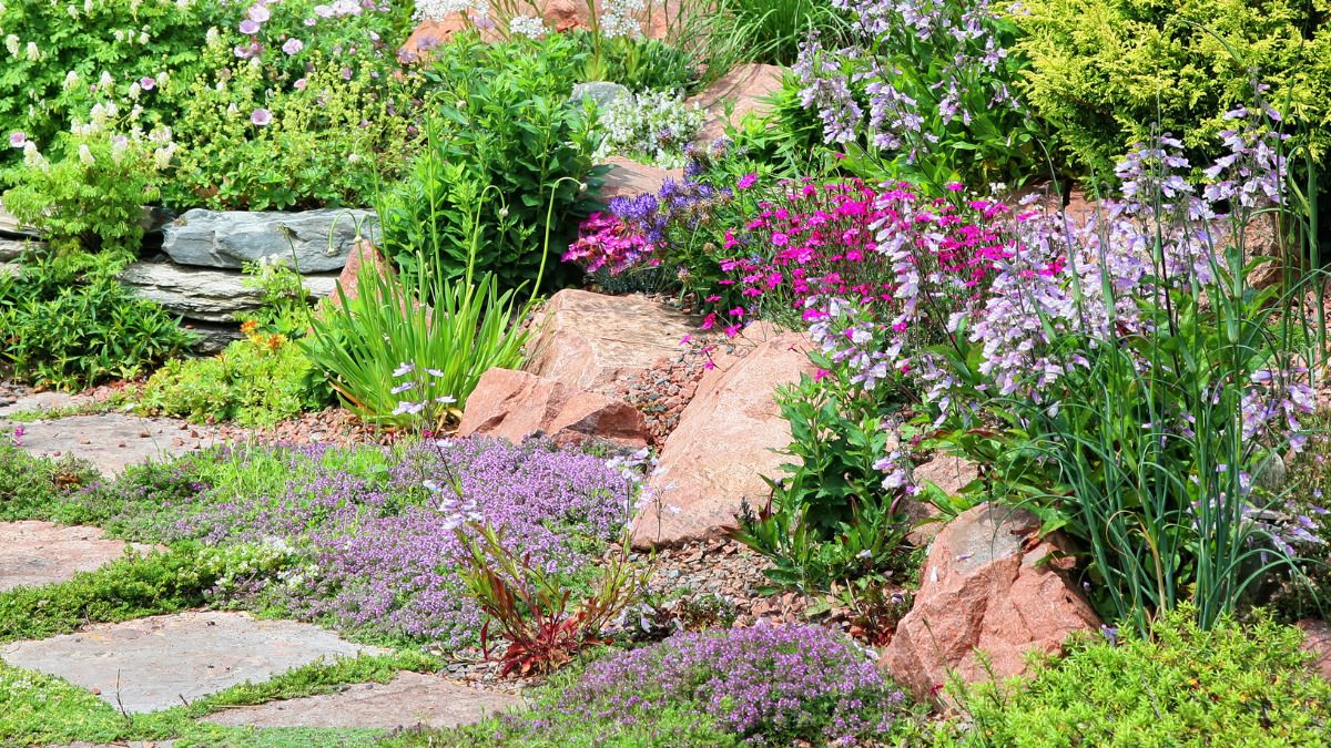 How to: Create a Low Maintenance Garden | Stone and Water World