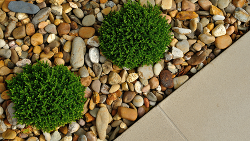 Autumn Landscaping Projects: A 3-Part Guide