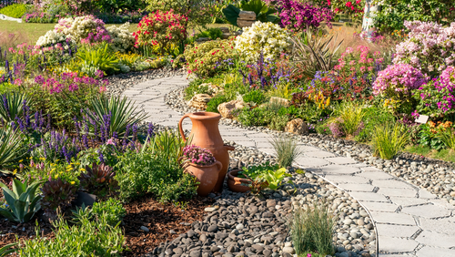 How to: Create a Mediterranean Inspired Garden in New Zealand