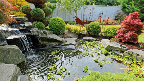How to: Identify & Solve Pond Water Loss