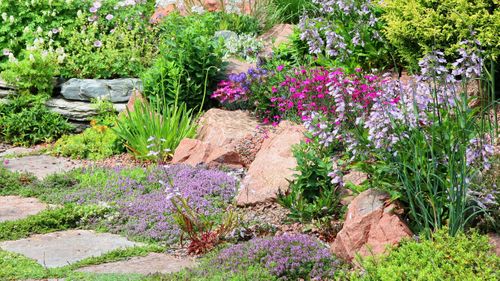 How to: Create a Low Maintenance Garden