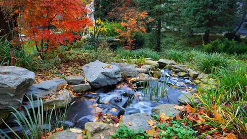 How to: Winterise Your Pond or Water Feature