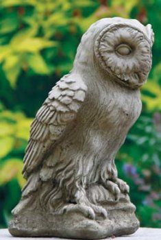 Large Owl