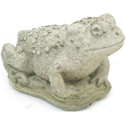 Small Toad