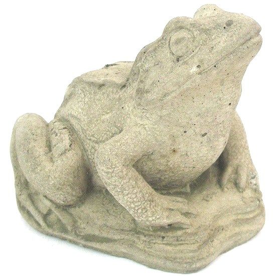 Small Frog | Stone and Water World
