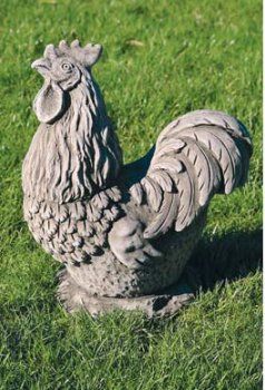 Cockerel