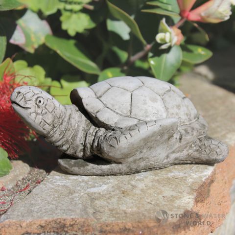 Midi Turtle