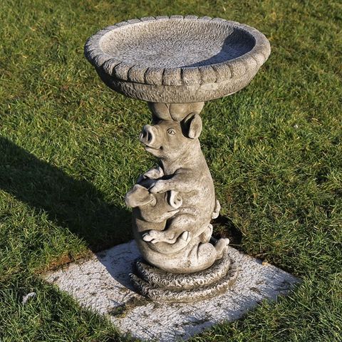 Pig Birdbath