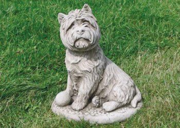 Large West Highland Terrier