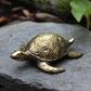 Brass Turtle
