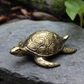 Brass Turtle