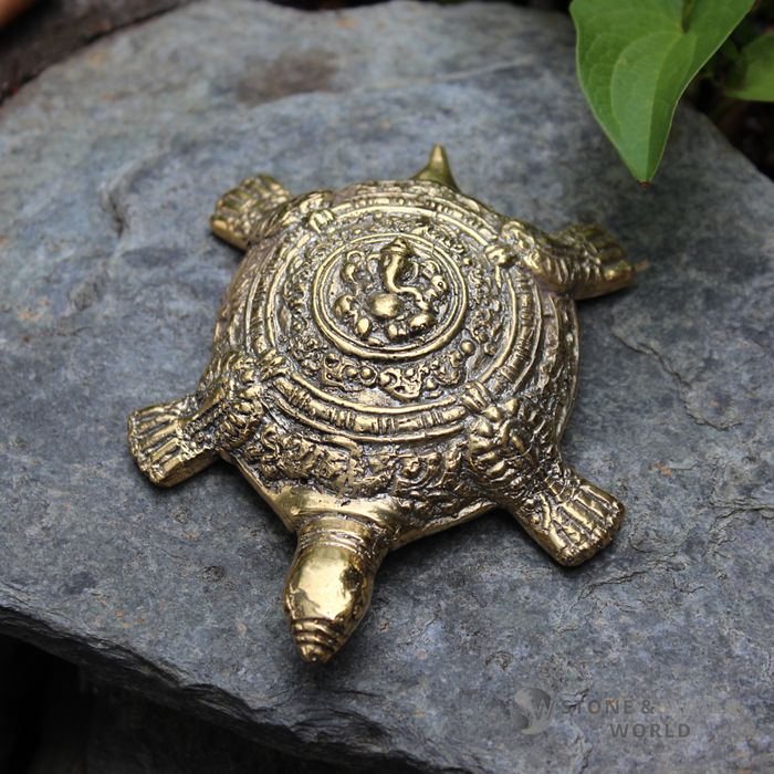 Brass Tortoise