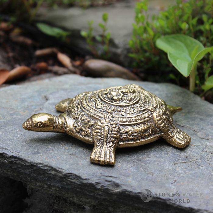 Brass Tortoise