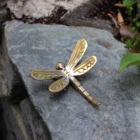 Small Brass Dragonfly