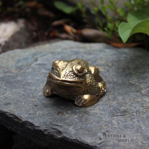 Sleeping Brass Frog