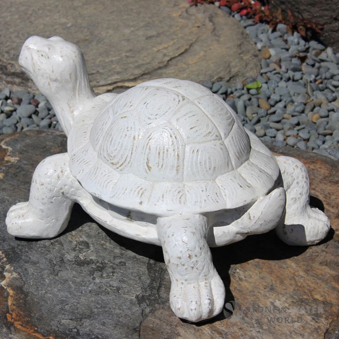 Whitewash Tortoise