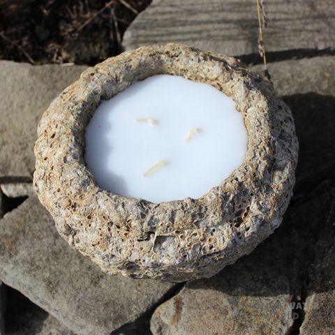 3 Wick Aged Candle