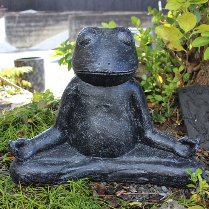 Yoga Frog