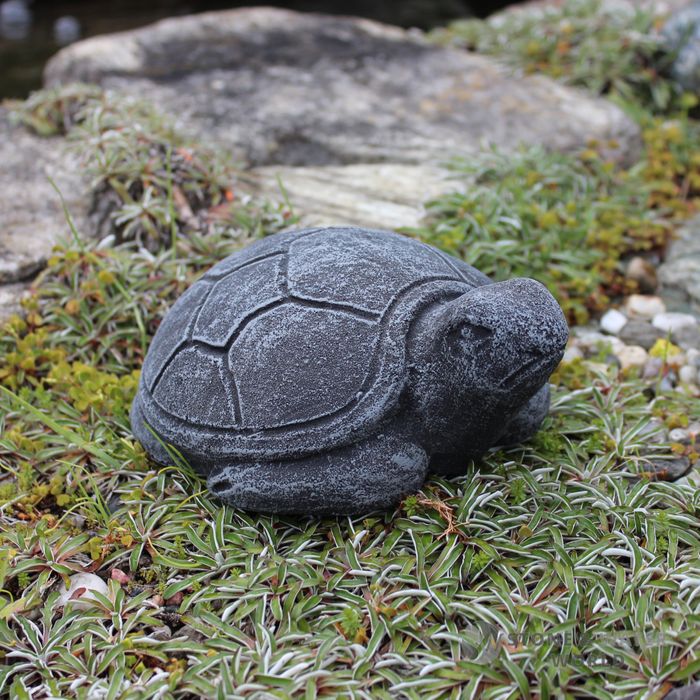 Small Turtle