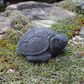 Small Turtle