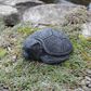 Small Turtle