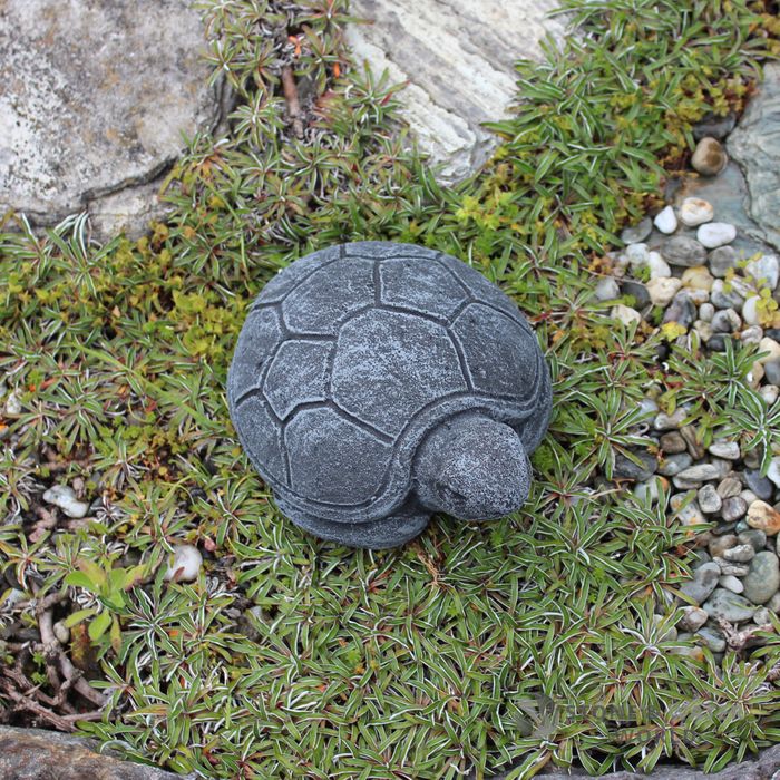 Small Turtle