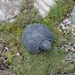 Small Turtle