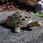 Large Brass Turtle