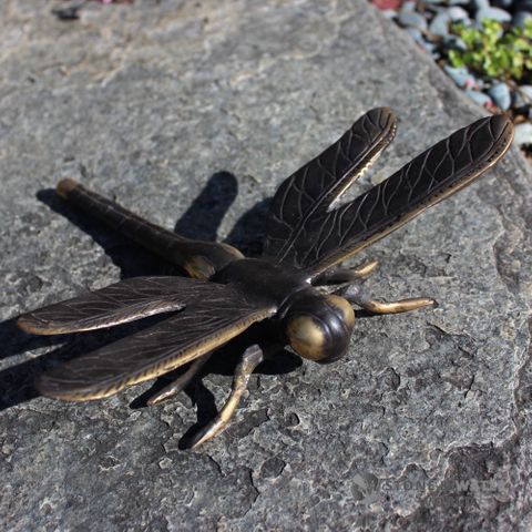Large Brass Dragonfly (Black)