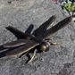 Large Brass Dragonfly (Black)