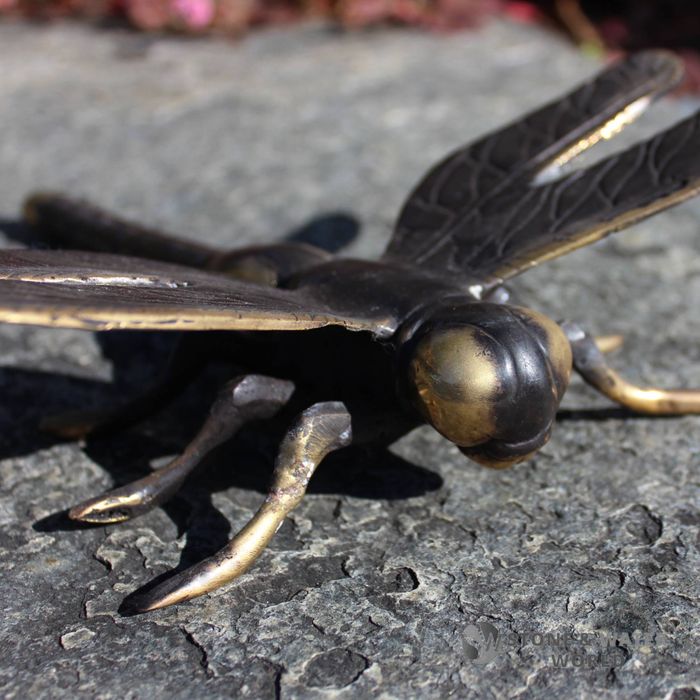 Large Brass Dragonfly (Black)