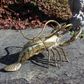Brass Lobster