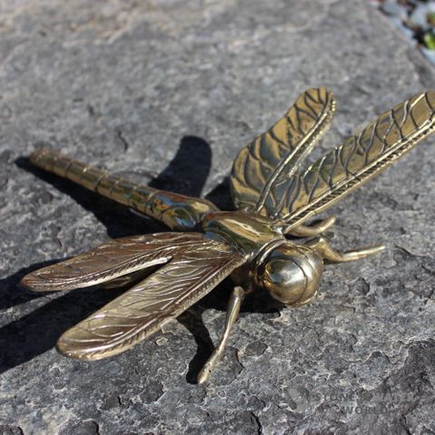Large Brass Dragonfly