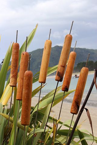 Bullrush Garden Stake