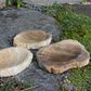 Natural Stone Dish